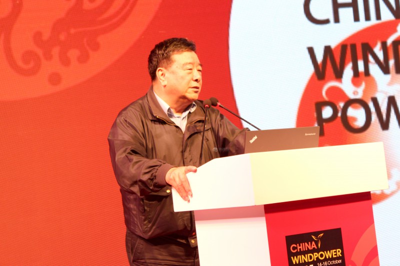 石定寰 中國可再生能源學會理事長