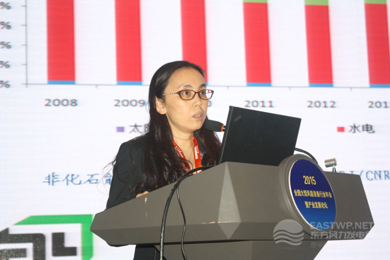 國家發(fā)改委能源研究所可再生能源中心時璟麗研究員