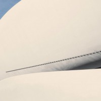 葉片的特點(diǎn)