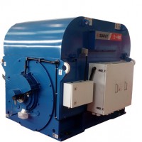 2MW永磁同步發電機TFY20-06圖片1