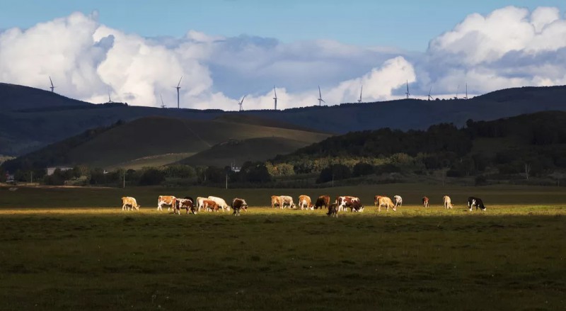 風車下的光影、四川省廣安市前鋒區文廣電旅局、周修建