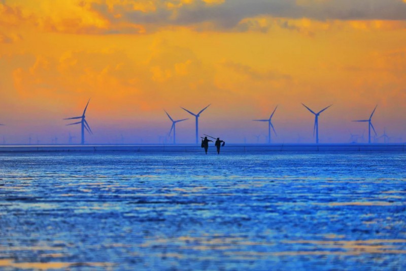 趕海、江蘇省鹽城市大豐區、董 溪